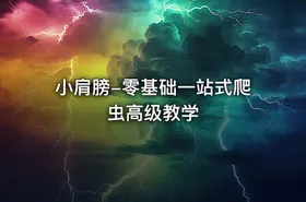 小肩膀-零基础一站式爬虫高级教学 - getfromcode