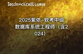 2025紫依-软考中级数据库系统工程师（含2024）