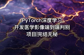 PyTorch深度学习开发医学影像端到端判别项目|完结无秘