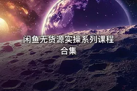 闲鱼无货源实操系列课程合集 - getfromcode