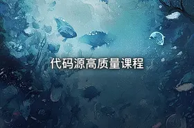 代码源高质量课程