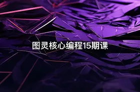 图灵核心编程15期课