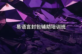 易语言封包辅助培训班