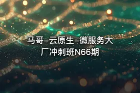 马哥-云原生-微服务大厂冲刺班N66期