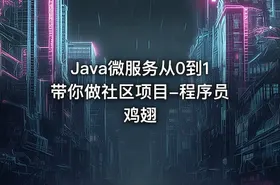 Java微服务从0到1带你做社区项目-程序员鸡翅