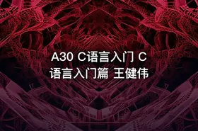 A30 C语言入门 C语言入门篇 王健伟
