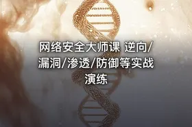 网络安全大师课 逆向/漏洞/渗透/防御等实战演练
