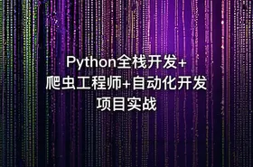 Python全栈开发+爬虫工程师+自动化开发项目实战 - getfromcode