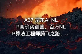 A37 京东AI NLP高阶实训营，百万NLP算法工程师腾飞之路，视频+源码价值25800元