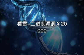 看雪-二进制漏洞￥20000
