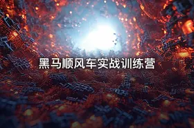黑马顺风车实战训练营 - getfromcode