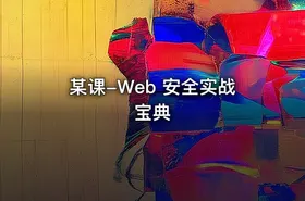 某课-Web 安全实战宝典