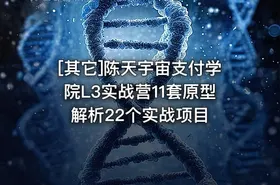 [其它]陈天宇宙支付学院L3实战营11套原型解析22个实战项目 - getfromcode