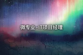 微专业-IT项目经理 - getfromcode