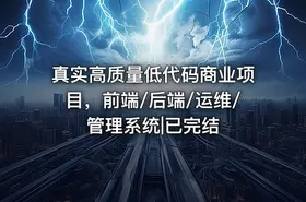 真实高质量低代码商业项目，前端/后端/运维/管理系统|已完结