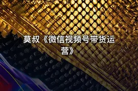 莫叔《微信视频号带货运营》