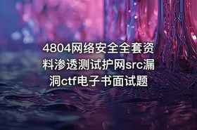 4804网络安全全套资料渗透测试护网src漏洞ctf电子书面试题