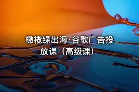 橄榄绿出海·谷歌广告投放课（高级课） - getfromcode