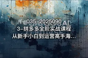 035-20250903-拼多多全阶实战课程从新手小白到运营高手海量实战玩法全年实时更新2025年9月更新更多资源 - getfromcode