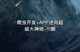 爬虫开发+APP逆向超级大神班-11期