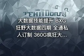 大数据技能提升 BXG狂野大数据四期 全通私人订制 360G疯狂大数据就业套餐课程 - getfromcode