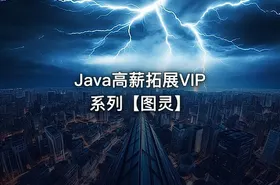 Java高薪拓展VIP系列【图灵】 - getfromcode