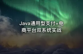 Java通用型支付+电商平台双系统实战