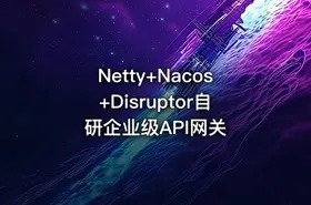 Netty+Nacos+Disruptor自研企业级API网关 - getfromcode
