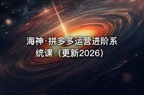 海神·拼多多运营进阶系统课（更新2026）