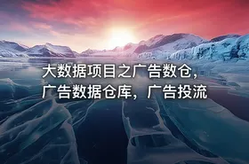 大数据项目之广告数仓，广告数据仓库，广告投流