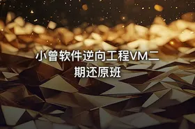 小曾软件逆向工程VM二期还原班