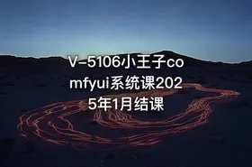 V-5106小王子comfyui系统课2025年1月结课