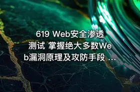 619 Web安全渗透测试 掌握绝大多数Web漏洞原理及攻防手段 价值718
