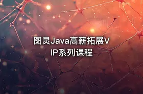 图灵Java高薪拓展VIP系列课程 - getfromcode
