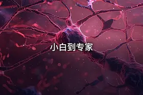 小白到专家