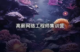 高薪网络工程师集训营