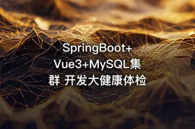 SpringBoot+Vue3+MySQL集群 开发大健康体检 - getfromcode