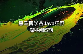 黑马博学谷Java狂野架构师5期 - getfromcode