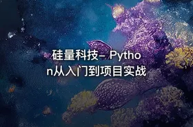 硅量科技- Python从入门到项目实战 - getfromcode