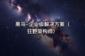 黑马-企业级解决方案（狂野架构师）