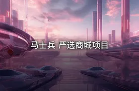马士兵 严选商城项目 - getfromcode