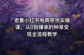 老鲁小红书电商带货实操课，从0到爆单的种草变现全流程教学