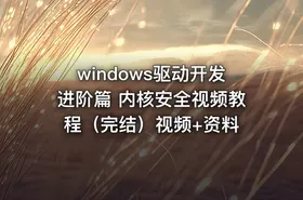 windows驱动开发进阶篇 内核安全视频教程（完结）视频+资料