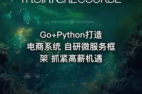 Go+Python打造电商系统 自研微服务框架 抓紧高薪机遇