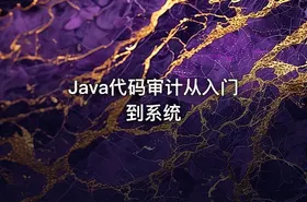 Java代码审计从入门到系统