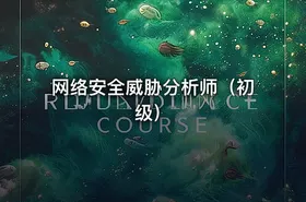 网络安全威胁分析师（初级） - getfromcode