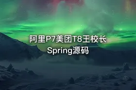 阿里P7美团T8王校长Spring源码