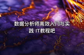 数据分析师高效入门与实践 IT教程吧