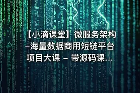 【小滴课堂】微服务架构-海量数据商用短链平台项目大课 - 带源码课件 - getfromcode