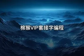 棉猴VIP套接字编程